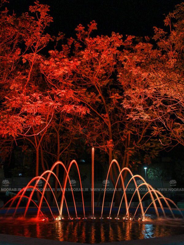 peacock 13N32 (10)