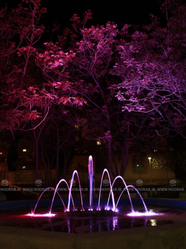 peacock 7N32 (10)