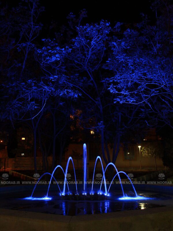 peacock 7N32 (13)