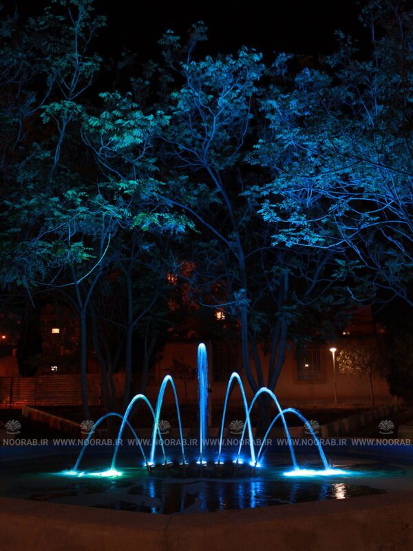 peacock 7N32 (14)