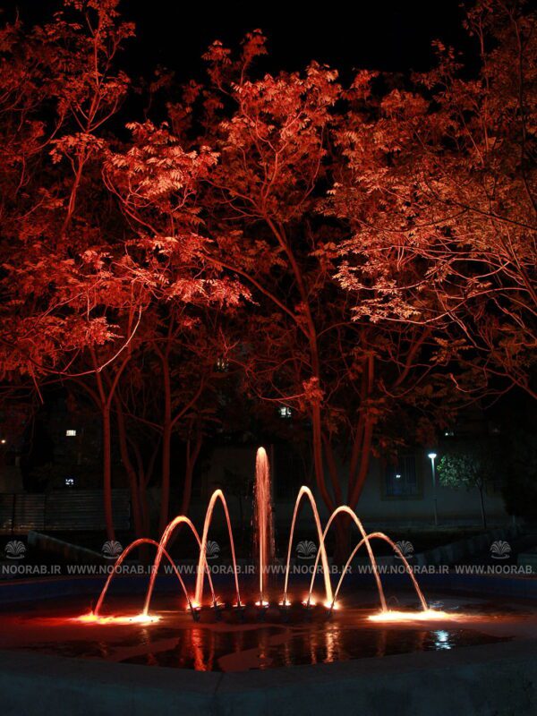 peacock 7N32 (9)